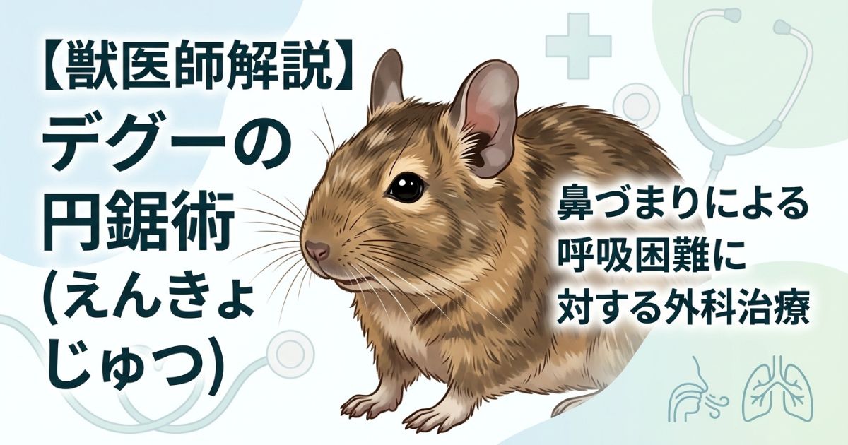 デグーの円鋸術（えんきょじゅつ）による呼吸困難の外科治療