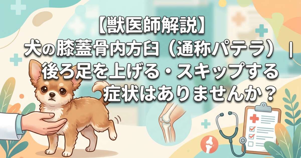 犬の膝蓋骨内方脱臼 パテラ 特徴と治療法