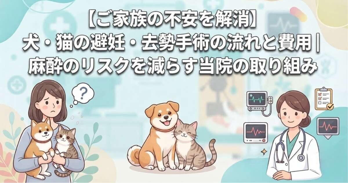 犬・猫の避妊・去勢手術