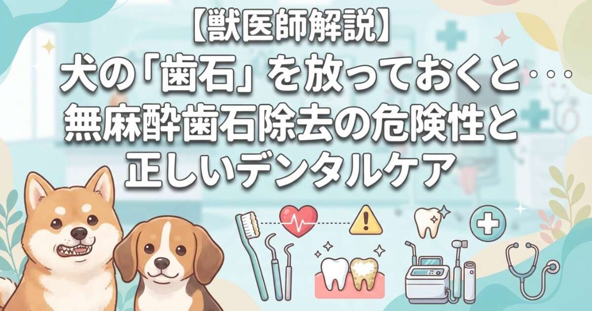 犬の歯石を放っておくと心臓病に！？無麻酔歯石除去の危険性と正しいデンタルケア