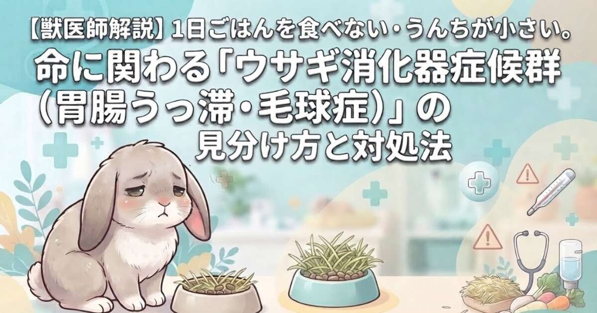 ウサギ消化器症候群（胃腸うっ滞・毛球症）