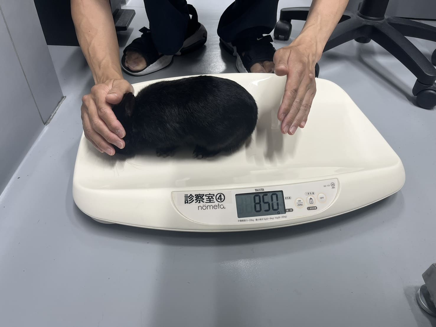 体重チェック