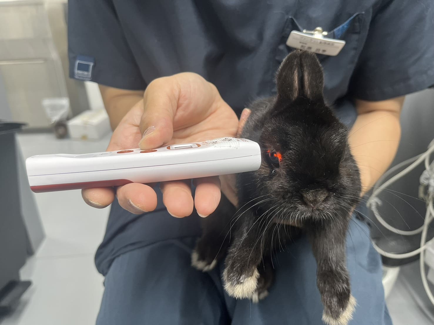 体温チェック（目で赤外線で測る）