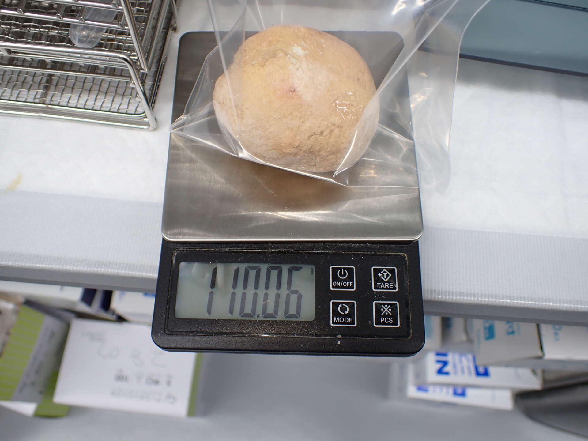 膀胱結石の実際の写真